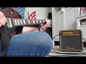 Демо комбика Samick 10SG