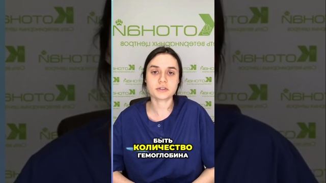 Как подготовить животное к анализу крови| советы