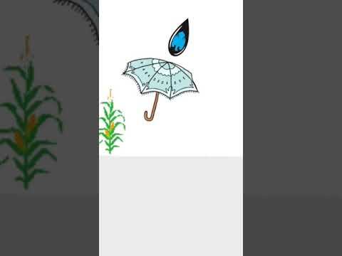 Drought in Horn of Africa 🌟 #facts #upsc #motivation смотреть онлайн