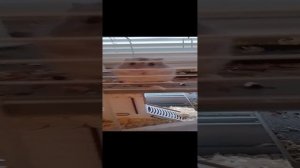 сильный хомяк Вики который умеет лазать по потолку клетки!!!!