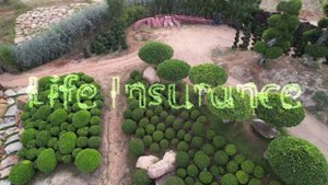 Join Green Kingdoms Dynamic Team | The Green Kingdom Botanical Garden Hyderabad