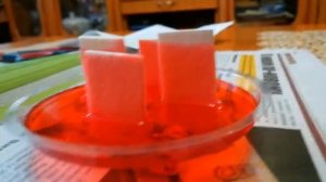 ВЫРАЩИВАНИЕ ЛУЧИСТЫХ КРИСТАЛЛОВ ЗА 2 ДНЯ