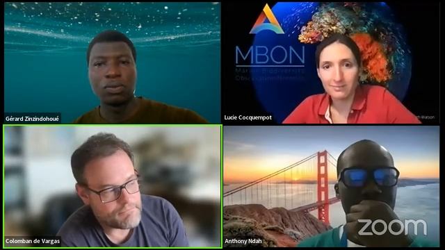 Low-cost technology practices for ocean observation