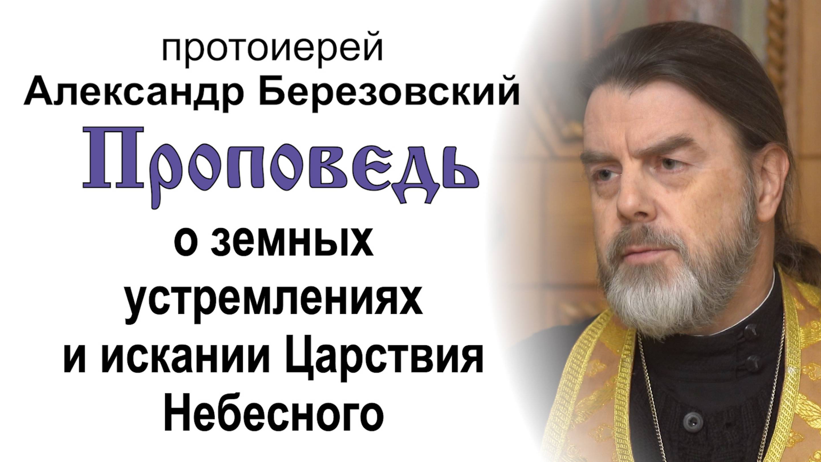 О земных устремлениях и искании Царствия Небесного (2024.11.29). Прот. Александр Березовский