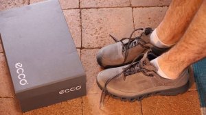 Ecco Multi-Vent Men's GTX Gore-Tex Waterproof Grey Hiking Shoes Overview First Impressions & Review