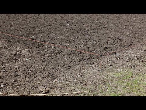 Деревня Куры Электропастух смотреть онлайн