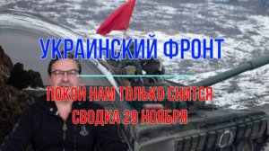 Сводка 29 ноября. Покой нам только снится