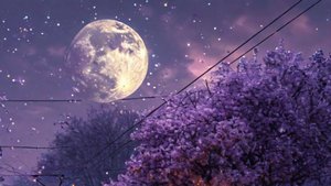 Душевные истории - Гармония противоположностей...