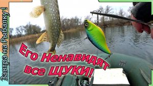 Этот раттлин с Алиэкспресс - Ненавидят все ЩУКИ!  - копия Мегабасс в деле. Рыбалка Воронеж