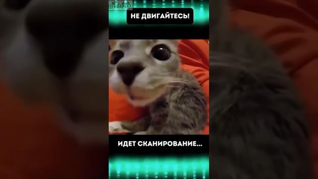 Мы открываем двери для талантливых специалистов