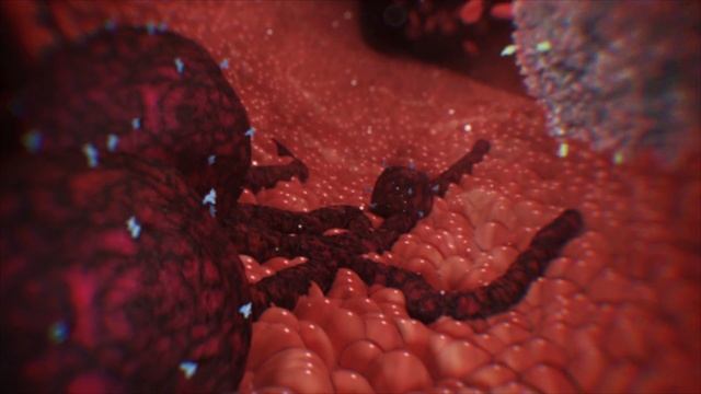 Imugene PD1 Vaxx 1080p смотреть онлайн