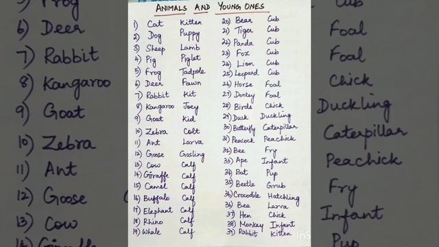 Animals and Young Ones/Noun смотреть онлайн