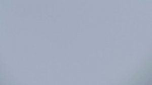 Лётные голуби 3