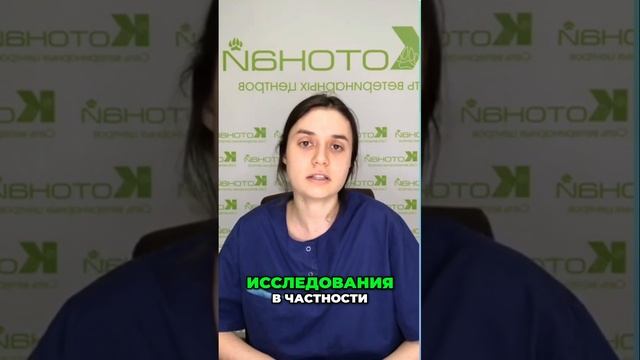 Подготовка животного к анализу крови| правила и советы