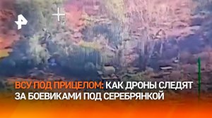 "Вон, поймали машинку!": "дроноводы" не дают ВСУ скрыться в серебрянском лесу