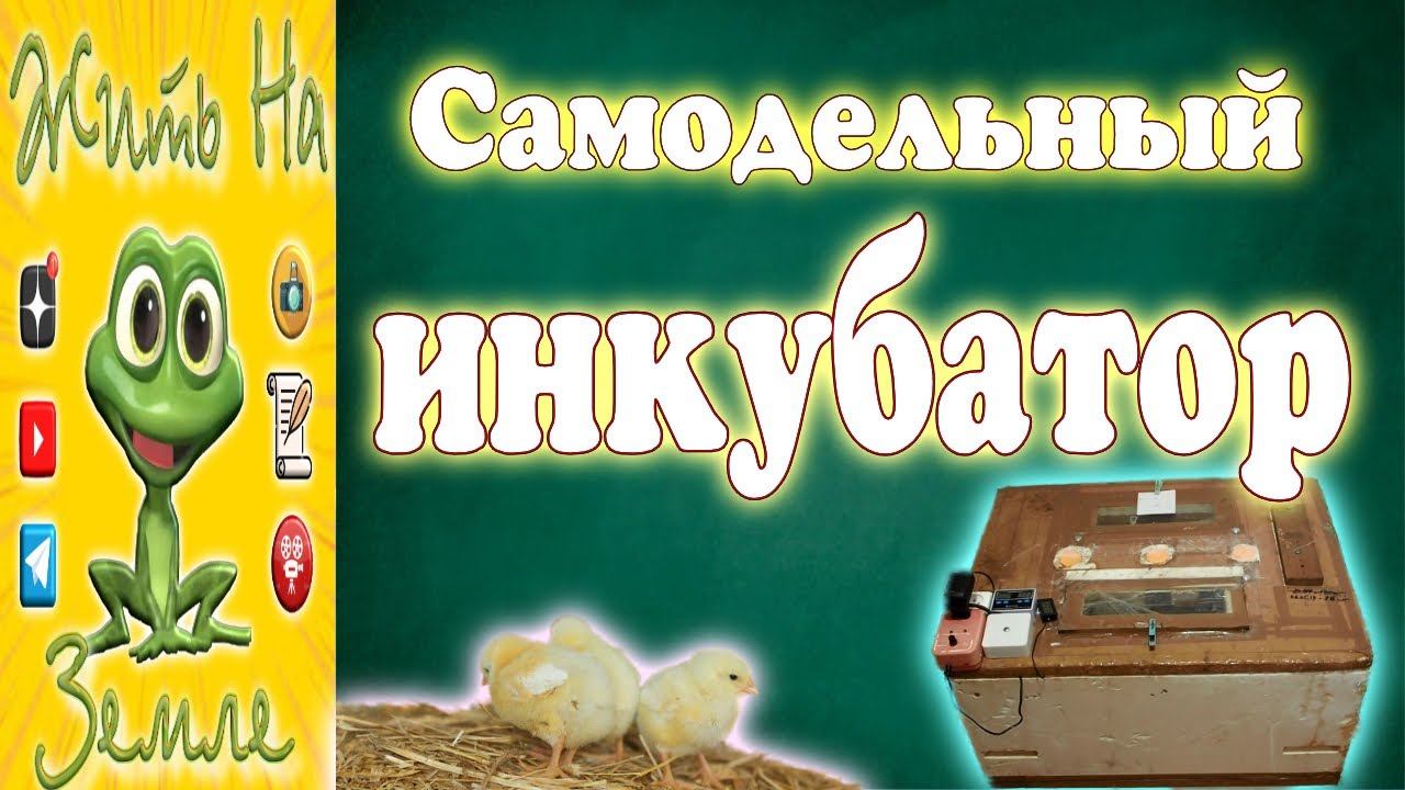 Самодельный инкубатор. Из того, что было. Дешево и сердито. смотреть онлайн