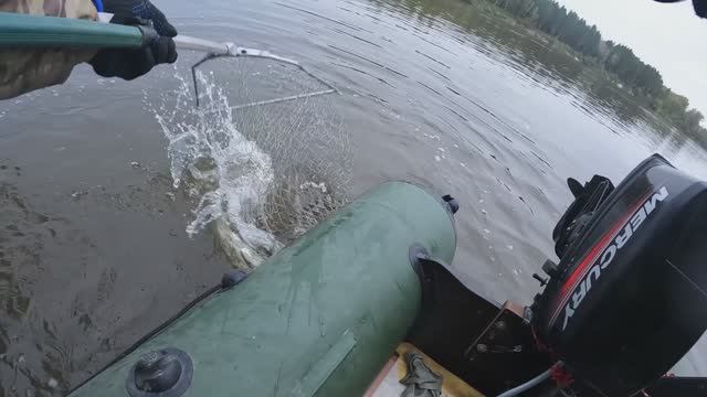 🎣ХОРОШАЯ🎣#сезонконтентаRUTUBE