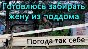 КСЮША В РОДДОМЕ! Перепелята вылупляются. Ремонтирую теплицу, обслуживаю машину.