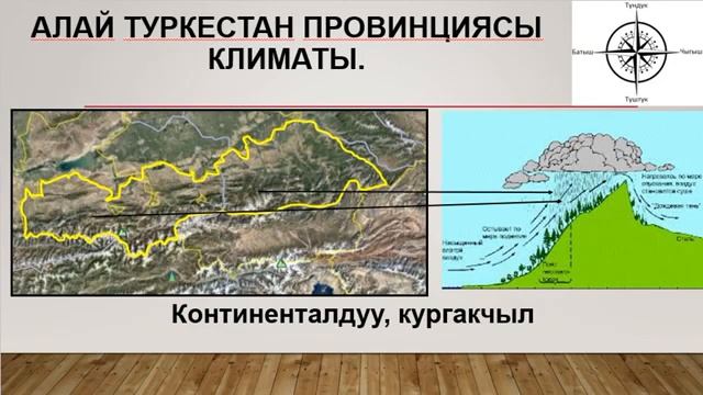 Алай Туркестан провинциясы. 8-кл