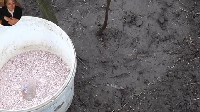 Підживлення дерев кореневе.Чим як і в які кількості.