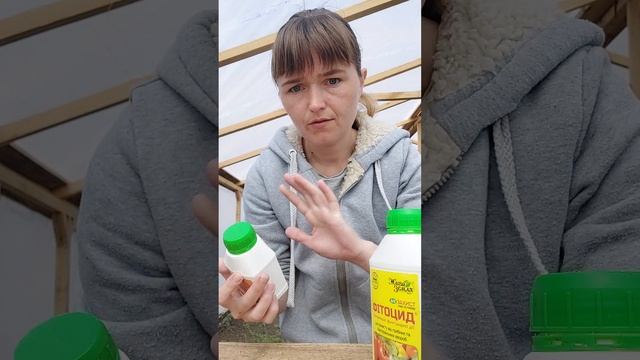 Найкращі способи підживлення полуниці. Що та чим обробляли ми?