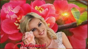 СЛАДКАЯ,ЖЕЛАННАЯ, КРАСИВАЯ ПЕСНЯ-(ИВАН ВОЛОДЬКО)