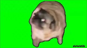 МАРКОВИЧ-- ГИМН АНОНИМУСОВ