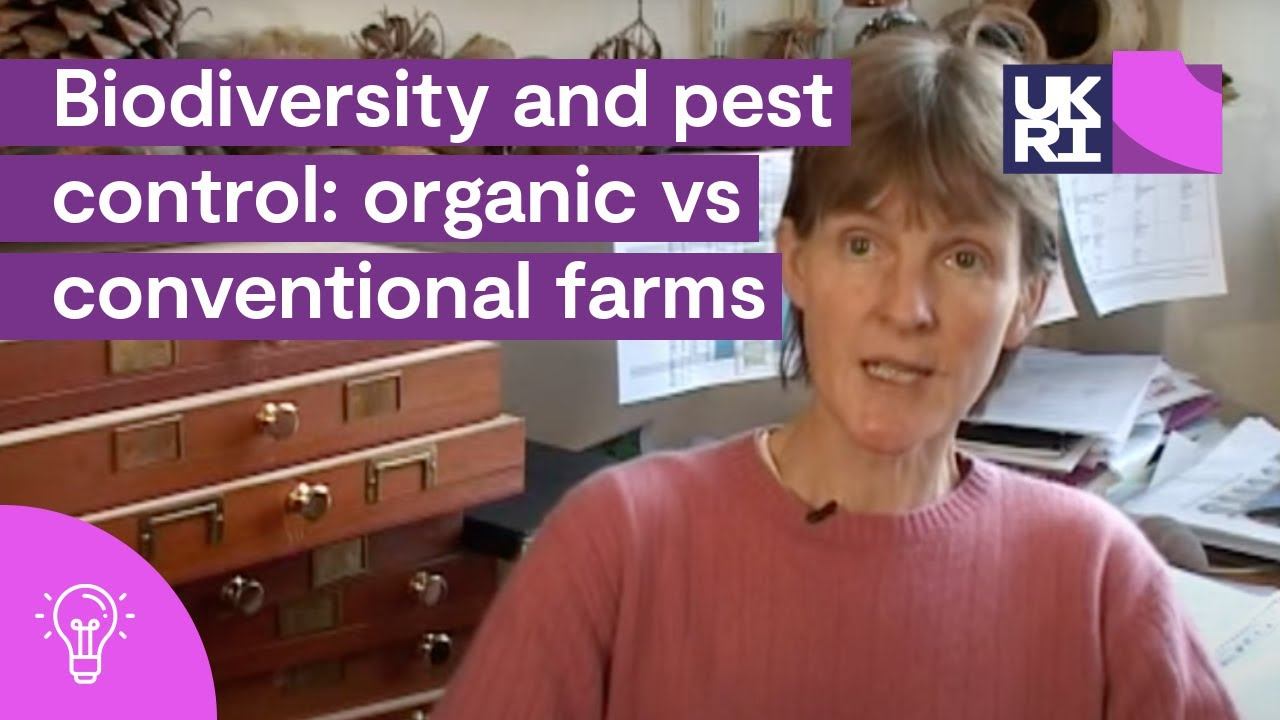 Organic vs Conventional #Farming: Which is Better for #Biodiversity and #PestControl?