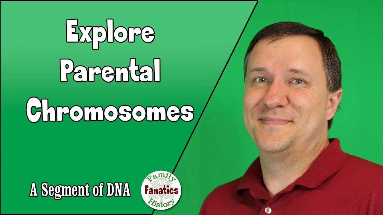 What DNA did you get from your parents? | Genetic Genealogy Explained