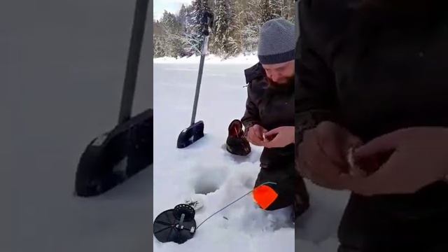 Ловля налима на тюльку! эксперимент