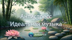 Идеальная музыка для снятия стресса 🌿 Успокаивающие звуки для сна и исцеления