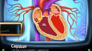 Сердце. Строение сердца развивающий мультфильм для детей https://kardiobit.ru