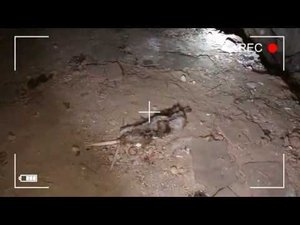 ЗАБРОШЕННАЯ ШКОЛА