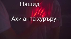нашид Ахи анта хурърун