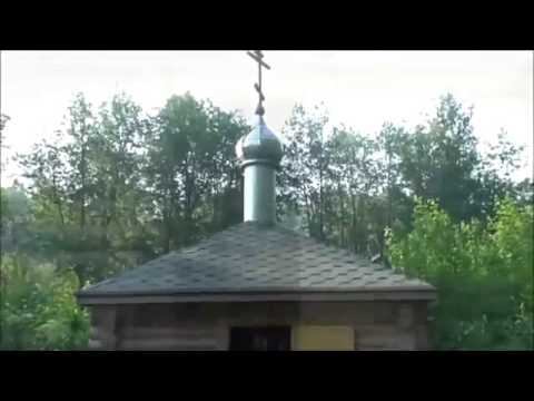 Целебная сила деревьев (часть __23)