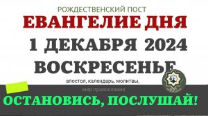 1 ДЕКАБРЯ ВОСКРЕСЕНЬЕ ЕВАНГЕЛИЕ АПОСТОЛ ДНЯ ЦЕРКОВНЫЙ КАЛЕНДАРЬ 2024 #мирправославия