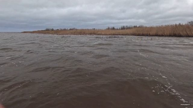 MINELAB MANTICORE  vs  XP DEUS II . Коп по воде, закрытие сезона 2024. #minelabmanticore #xpdeusii