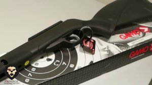 Обзор винтовки Gamo Black Fusion