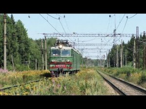 Поезда едут по зарослям и др. о. п. Жилино. Поезда БМО#5