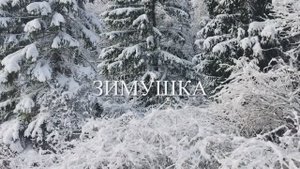 2024_11_ ЗИМУШКА