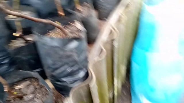 Укоренение  и  хранение  черенков