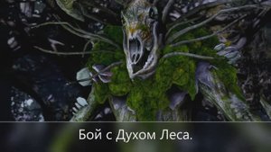 Ведьмачий Заказ Сердце Леса