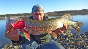 РЕЗКИЙ ЖОР ЩУКИ В ДЕКАБРЕ НА ДОНКИ...2o24