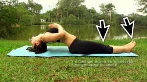 Матсьяасана  Асана открывающая все чакры