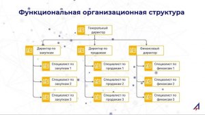 Линейная и функциональная оргструктуры