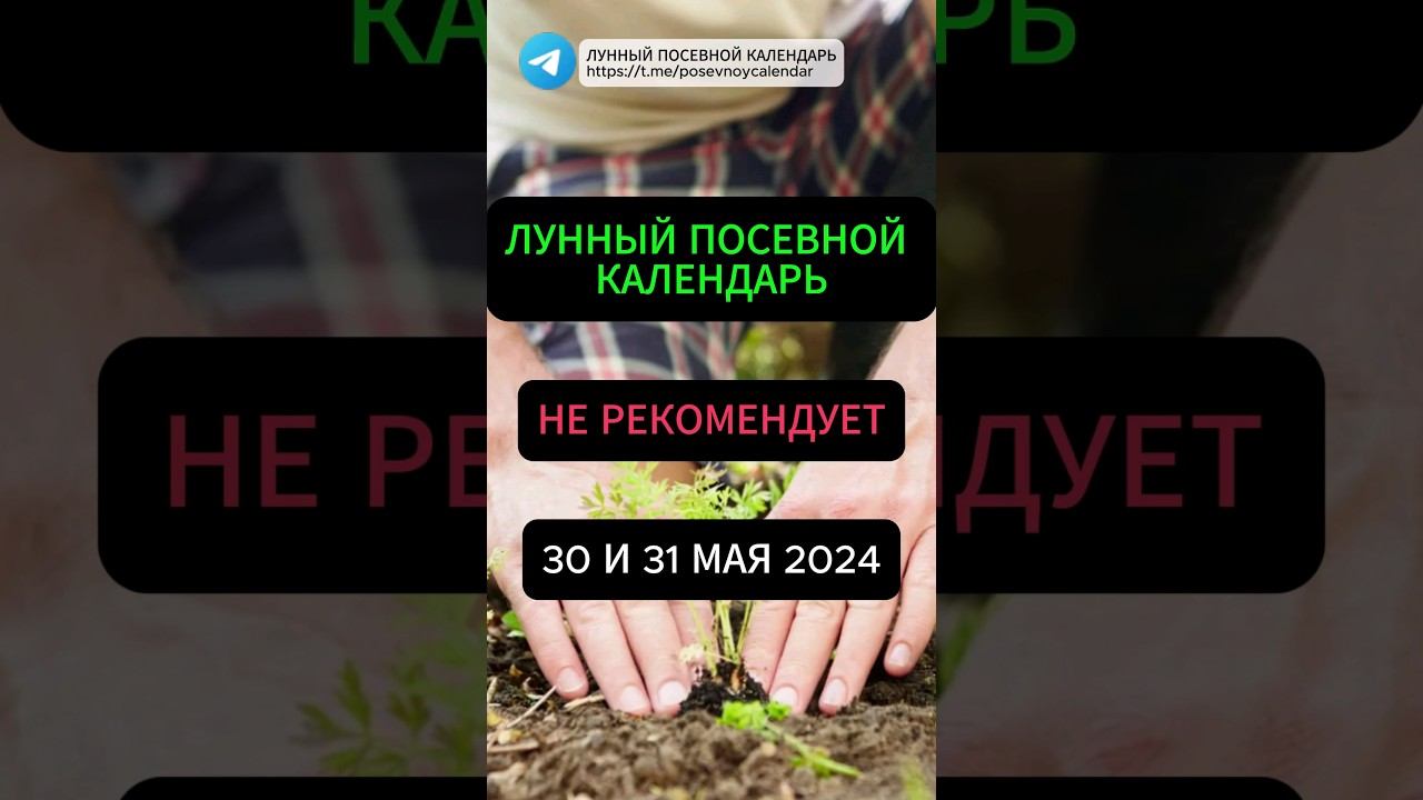 Лунный посевной календарь на 30 и 31 мая 2024 #благоприятныедни #лунныйкалендарь #огород #дача #сад