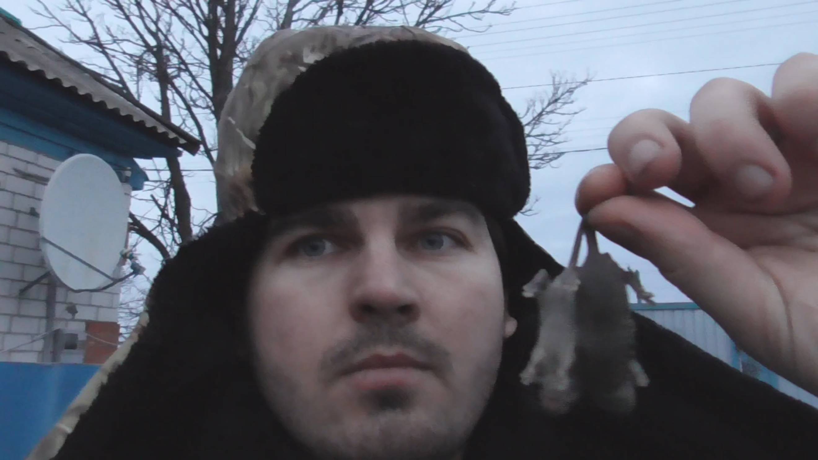 Кормлю кошек мышатами смотреть онлайн