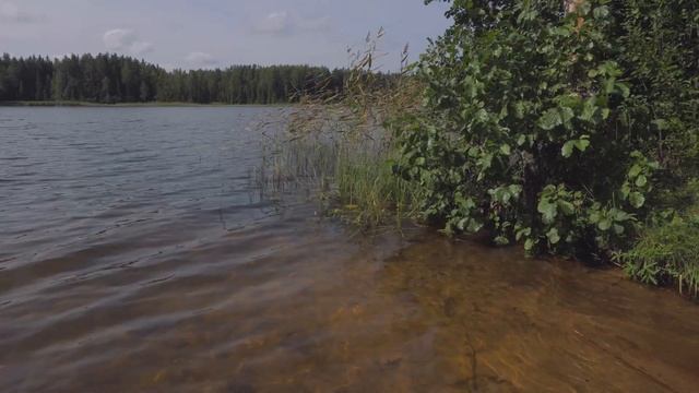 Озеро Боровенец. Валдай.