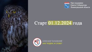 Анонс проекта с 01.12.2024 года