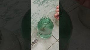 Перегон браги на дрожжах брагман 48 в режиме подстил